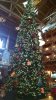 FW Dec 2015 0602.jpg