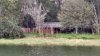 FW Dec 2015 0782.jpg