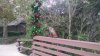 FW Dec 2015 0372.jpg