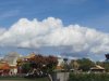 IMG_3033.JPG