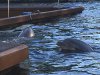 IMG_0454s.jpg