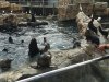 IMG_0556s.jpg