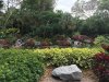 IMG_0632s.jpg