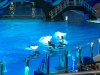 IMG_0696s.jpg