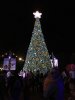 IMG_0738s.jpg