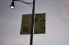 DSC_0307_ptr.JPG DSC_0307_ptr.JPG