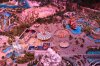 DSC_0227_ptr.JPG