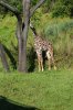 DSC_0235-1400.jpg