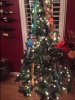 medal tree.JPG