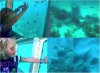 Semi Submarine Collage.jpg