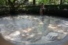 21D DSC09163.jpg