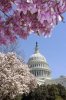 spring DC.jpe