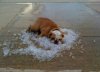 You+know+it+s+hot+when_2cb8e2_3946552.jpg