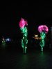 49E IMG_7640.jpg