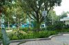 6N DSC09800.jpg