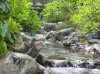 river at polynesian.jpg