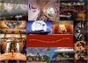 final note cruise collage.jpg