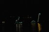 DSC_0451.JPG