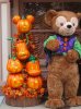 70G IMG_7830.jpg