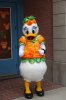 70E DSC09566.jpg
