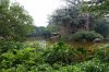 74 Tarzan's Treehouse DSC09434.jpg