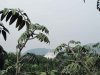 74G IMG_7850.jpg