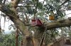 74J DSC09450.jpg