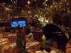 Rainforest Cafe 1.jpg