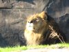 IMG_3467.JPG