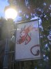 100D IMG_7924.jpg