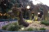 100B DSC09594.jpg