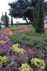 18B DSC09585.jpg