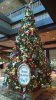 FW Dec 2015 0392.jpg