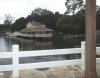IMGP0479.JPG