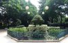 14G DSC09780.jpg