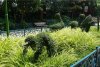 14C DSC09784.jpg