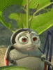 tumblr_lp8eq4lJq61qmb9jyo1_250.gif