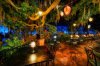 images blue bayou flicker.jpg