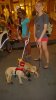 WP_20150930_22_17_06_Pro_opt.jpg