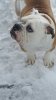 20160123_110122_resized.jpg