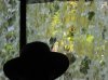 Disney Birthday Trip 2014 116.JPG