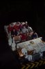 AK_DINOSAURRIDE_7171020201.jpg