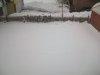 100_6838.JPG