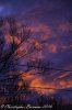 _MG_6629.jpg