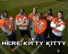 here kitty kitty.jpg