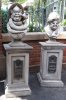 IMGP0488.JPG