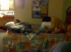 End of day.jpg