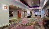 loews carpet.jpg