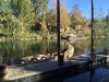 104 - 1.jpg