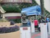 IMG_5762.JPG